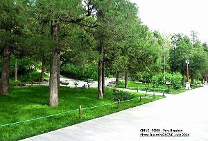 Pekin Jingshan 15